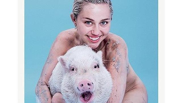 Miley Cyrus, tras el éxito de Kim Kardashian como portada en «Paper»