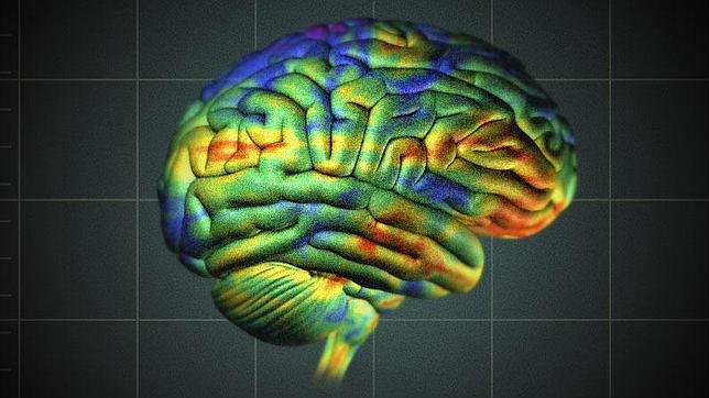 El sistema establece un mapa de colores del cerebro; en rojo el cáncer, en verde el sano