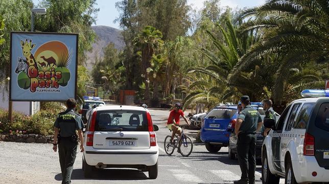 Tres heridos leves tras escaparse tres chimpancés de un zoológico en Fuerteventura