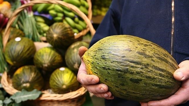 El melón es una opción estupenda para tomar algo fresco y sano en los días de calor