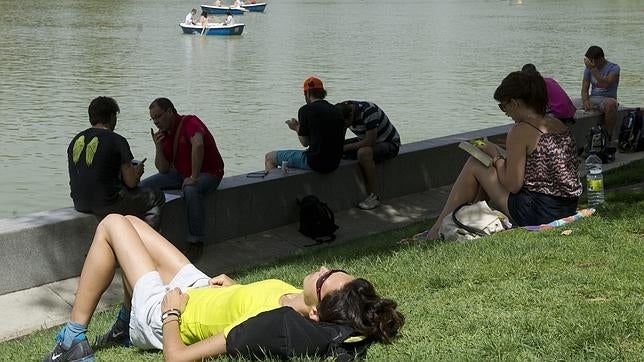 La sombra es un buen aliado para combatir el calor