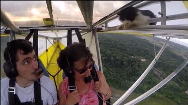 El extraño «gato polizón» de un ultraligero