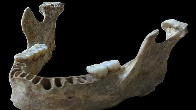 La carga genética neandertal del hombre moderno