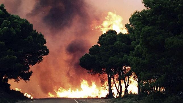 Desalojadas cinco localidades de Zaragoza a causa de un incendio forestal