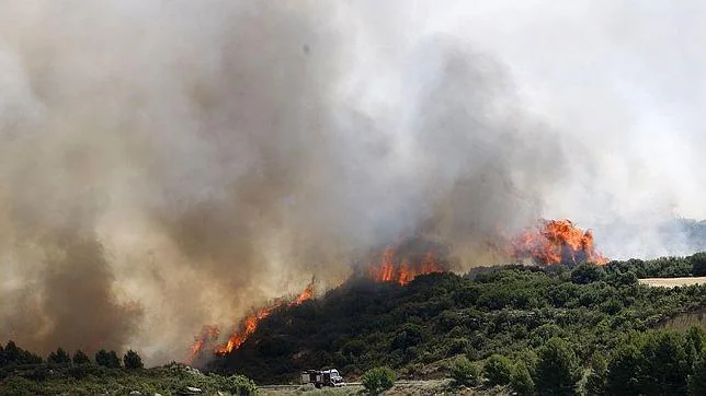 Las llamas han dejado un paisaje desolador en estas tierras del norte de la provincia de Zaragoza