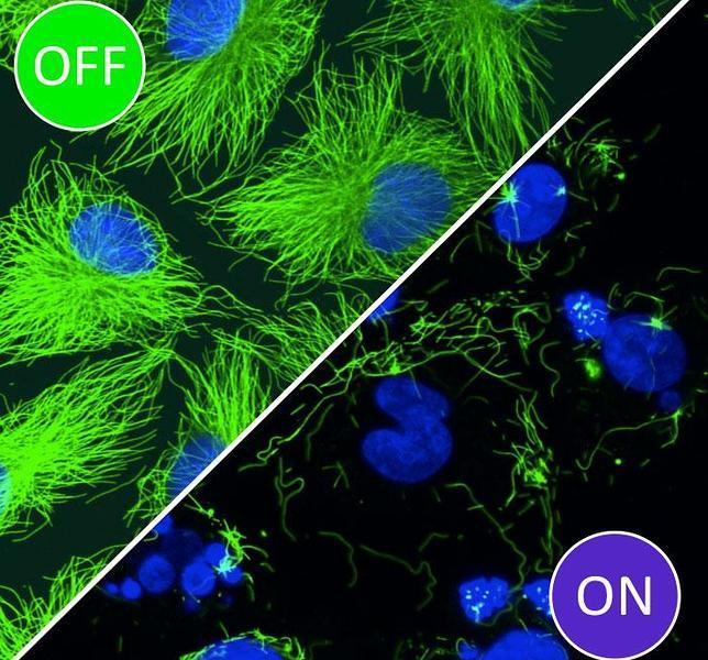 La luz apaga y enciende fármacos para tratar el cáncer