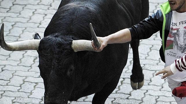 «Jubilado», el toro veloz, será lidiado en quinto lugar por Iván Fandiño