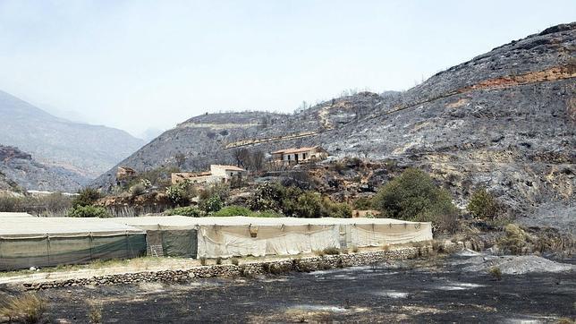 El alcalde de Lújar: «Se ha quemado todo lo que se podía quemar»