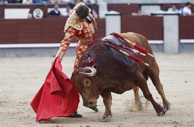 «¿Correr encierros? El poco valor que me queda lo gasto en torear»