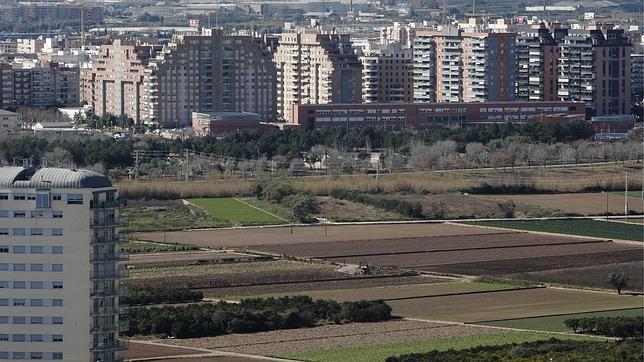 Imagen de la huerta valenciana en los límites del casco urbano de la ciudad