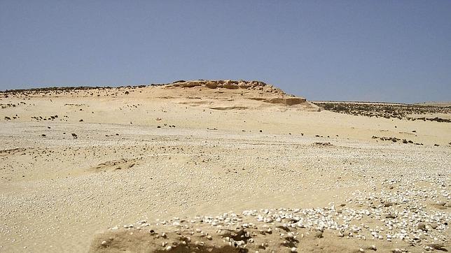 Fauna prehistórica bajo las dunas de Fuerteventura