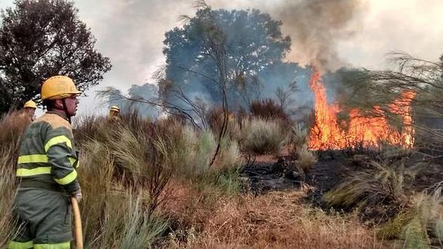 Controlado el incendio de Navalcán tras siete horas de trabajo contra las llamas