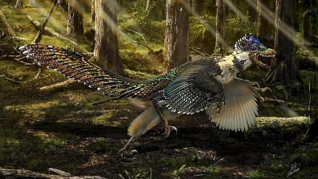 El primo del Velociraptor tenía plumas y alas