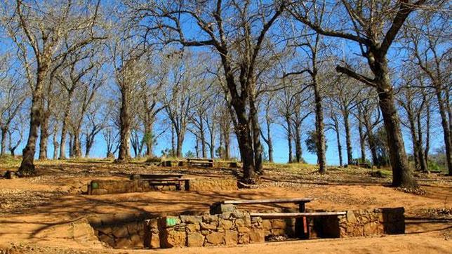 Diez merenderos donde irse de picnic en Canarias