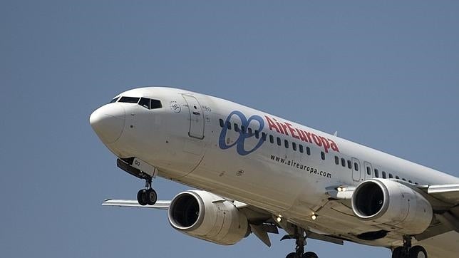 Air Europa, a juicio por la muerte de un perro en un vuelo Mallorca-Sevilla