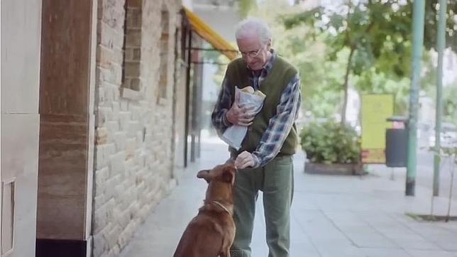 La bonita amistad de un perro y su dueño que emociona en youtube