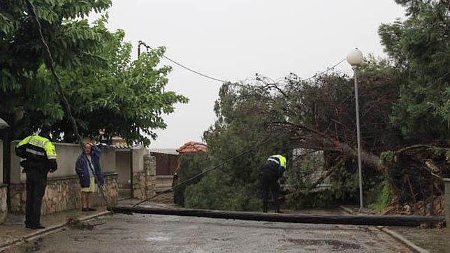 Una tormenta huracanada destroza cientos de hectáreas de cultivo en Caspe (Zaragoza)