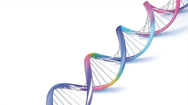 Científicos cuentan todo el ADN del mundo para calcular la biodiversidad