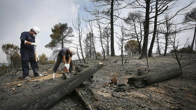 Controlado el incendio de Òdena tras arrasar con más de 1.200 hectáreas