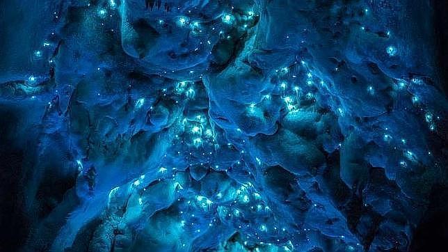 Cueva de luciérganas en Waitomo, Nueva Zelanda