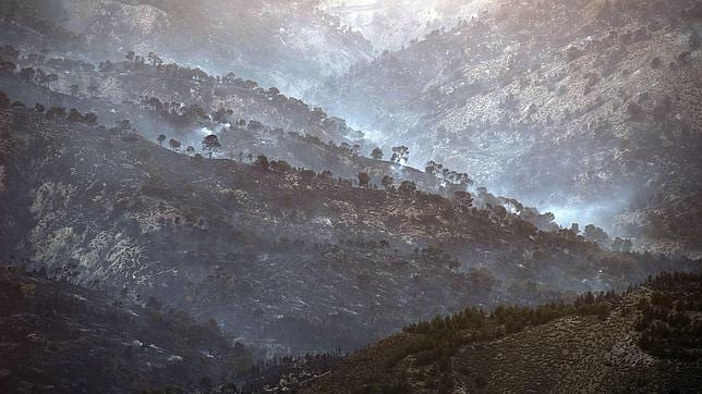 El incendio de Quesada en Jaén ha consumido 10.017 hectáreas y ha sido el más grande que se recuerda en los últimos años