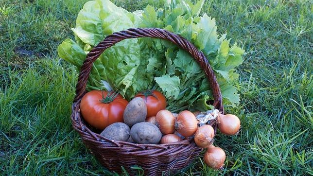 Los productos de la tierra son la marca identificadora de este restaurante coruñés