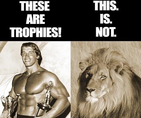 La brillante respuesta de Schwarzenegger sobre la muerte de Cecil el león