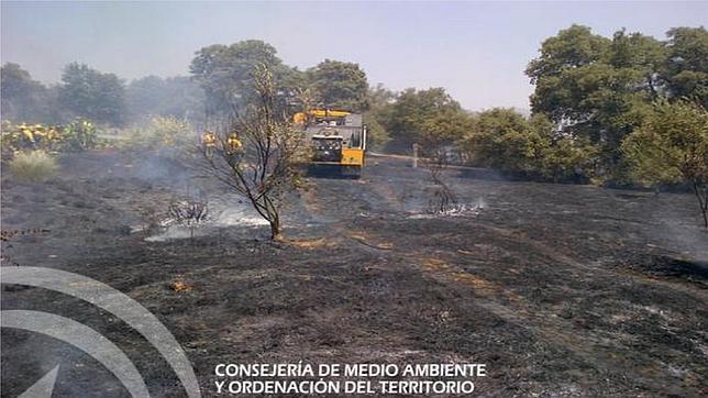 Extinguido un incendio en una zona de dehesa en Belmez