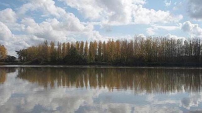 La consejería de Sanidad prohibe el baño en el embalse de Cazalegas