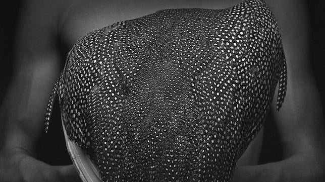 Unas de las imágenes que componen esta exposición de fotografía latinoamericana