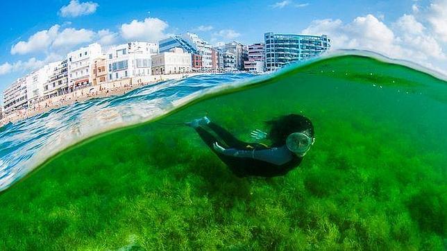 Las Palmas busca otra foto espectacular como esta para «Un instante, una ciudad»