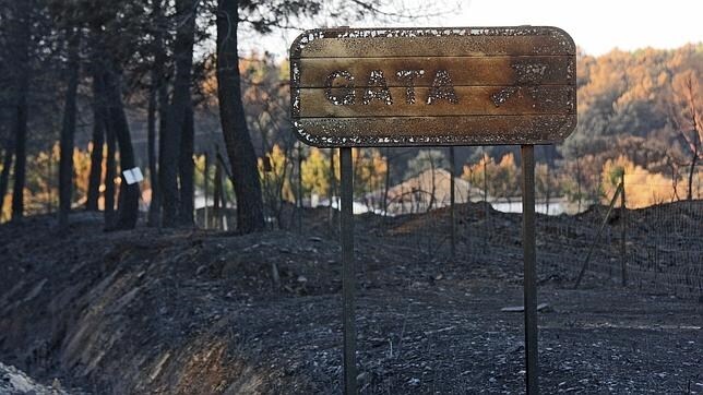 El fuego ha arrasado entre 6.000 y 7.000 hectáreas