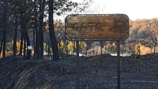 Continúa por precaución el nivel 2 en el incendio de Sierra de Gata