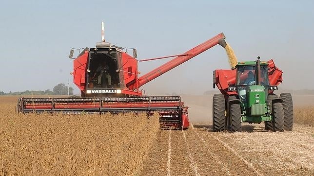 Una cosechadora carga soja en un campo de Rosario (Argentina)