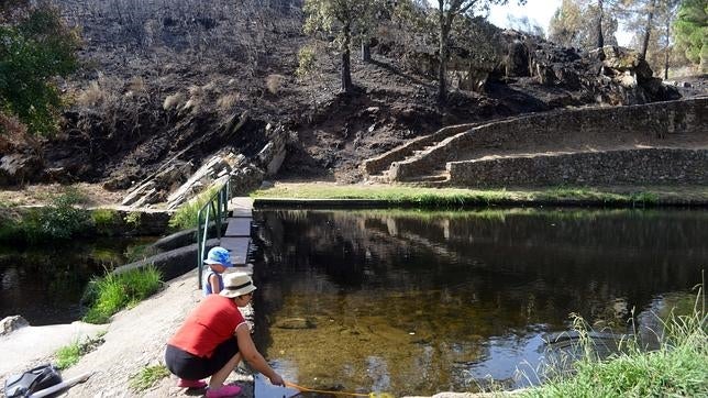 Se rebaja la peligrosidad del incendio de Sierra de Gata a nivel 1