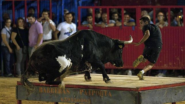 La Plataforma Antitaurina pide suspender los «bous al carrer»