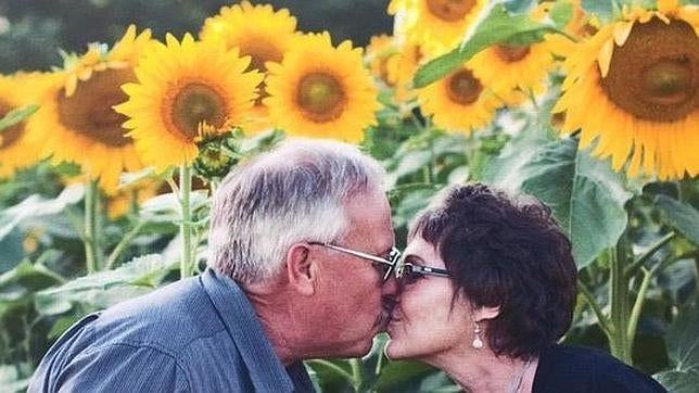 El hombre que sembró 6 kilómetros de girasoles en memoria de su mujer