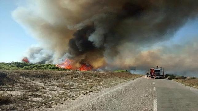 Extinguido el incendio que ha arrasado dos hectáreas en El Saler