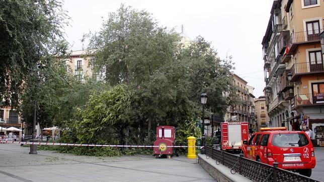 Un vendaval arranca enormes ramas de tres árboles en Zocodover sin causar heridos