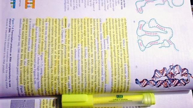 El curso comenzará el 10 de septiembre