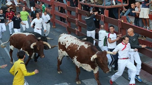 Numerosos corredores junto a cuatro reses durante los encierros de 2013
