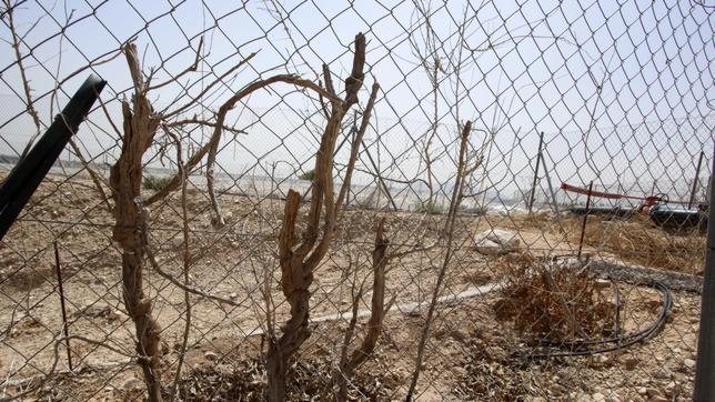 Los ingenieros alertan del riesgo de «desertización» sin el trasvase