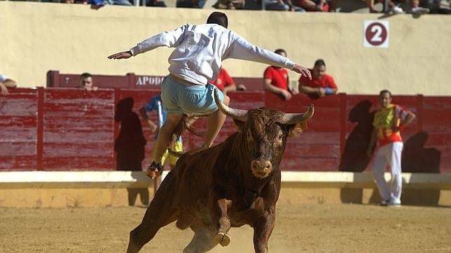 Trece minutos ha durado el primer encierro de Alcalá, que acaba sin heridos