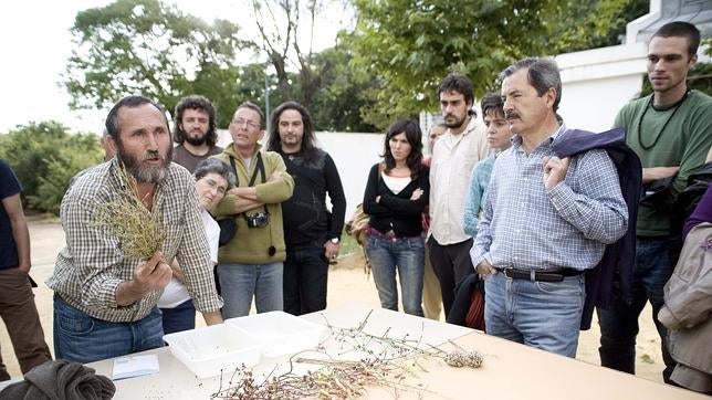 La semillas, refugio de la biodiversidad