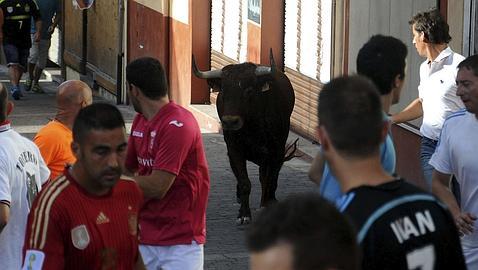 Los festejos taurinos se han cobrado cinco víctimas en la Comunidad durante 2015