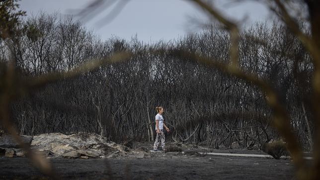 Ofrecen una recompensa de 10.000 euros a quien delate a los incendiarios gallegos