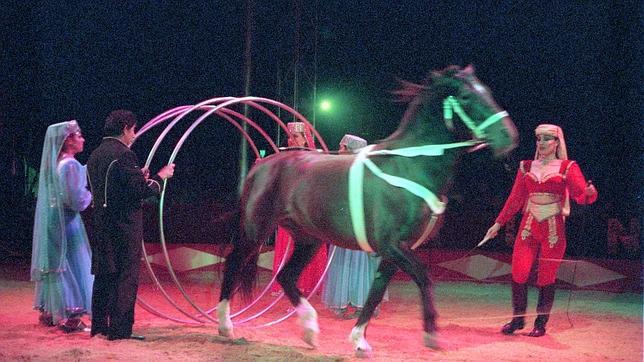 El Ayuntamiento de Valencia veta la licencia a circos con animales salvajes