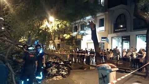 Cae un árbol de grandes dimensiones en una calle de Fuencarral repleta de viandantes