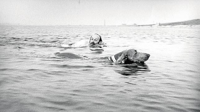 Doctorow bañándose con su perra «Becky» en Bahía Gardiners (Estado de Nueva York) en agosto de 1975