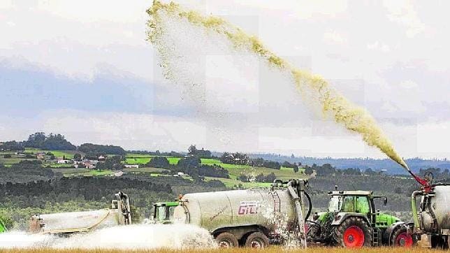 Ganaderos del municipio coruñés de Frades derramaron ayer 130.000 litros de leche